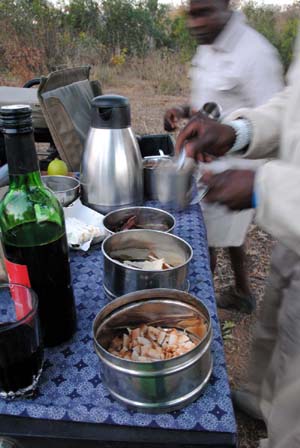 Londolozi-bush picnic